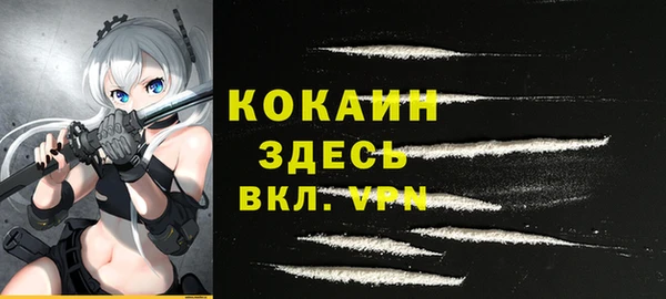 молекула духа Арсеньев