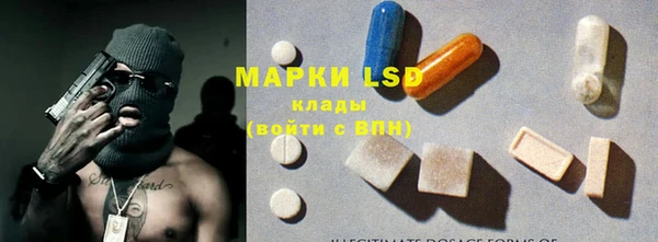 молекула духа Арсеньев