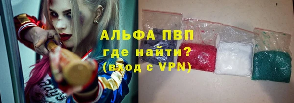 молекула духа Арсеньев