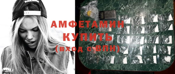 молекула духа Арсеньев