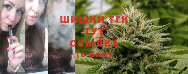 молекула духа Арсеньев