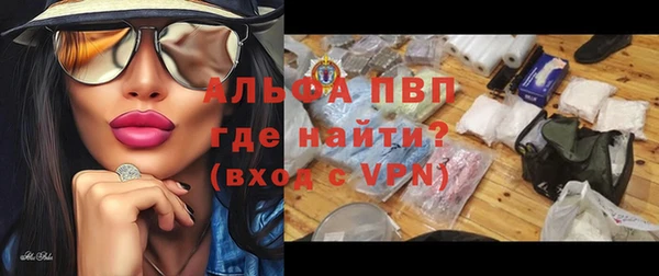 молекула духа Арсеньев