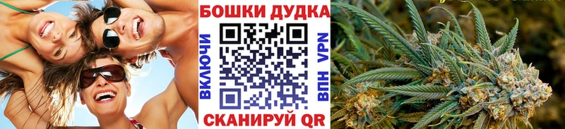 где найти Сурск Бошки марихуана индика